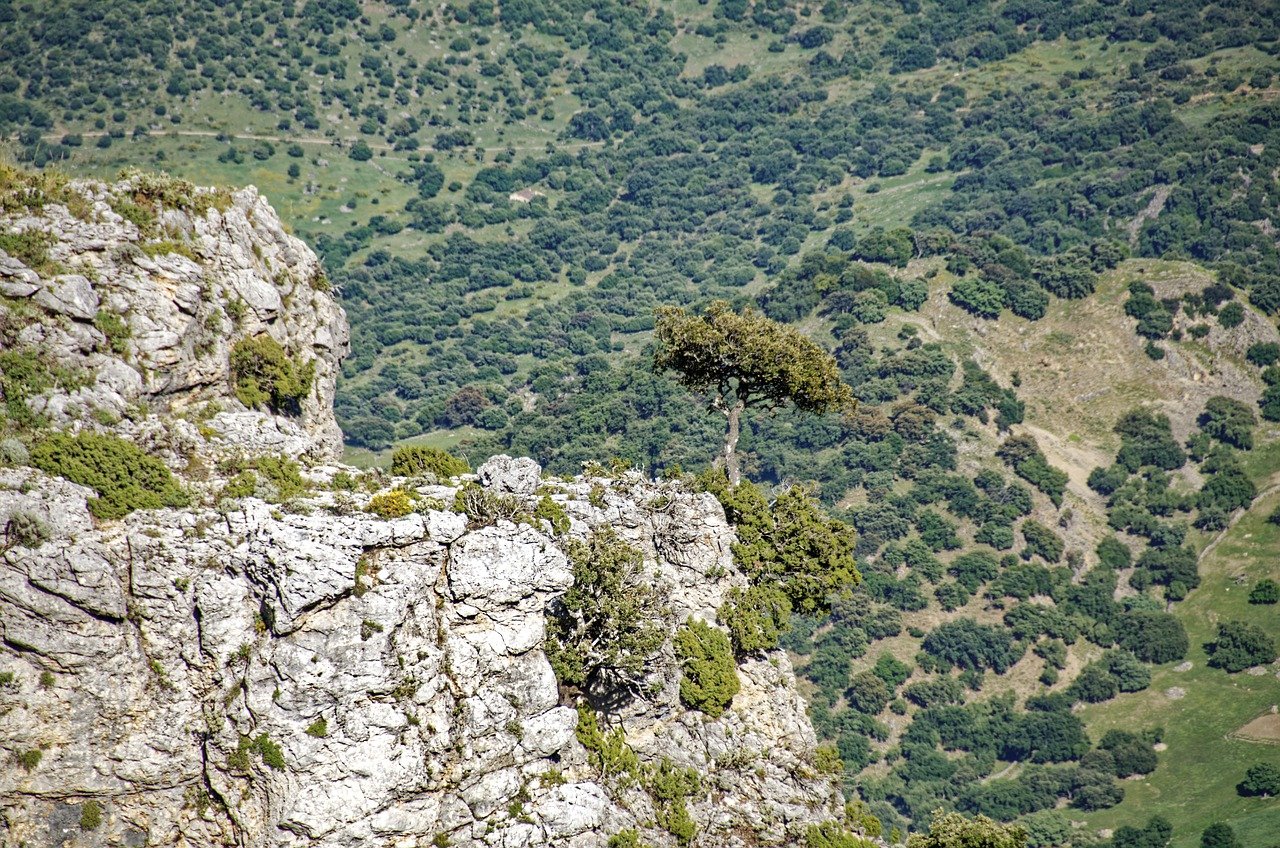 Jaén – stolica oliwek i renesansowych zabytków